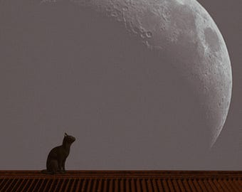 Roof Cat Poster - Moon Art Print