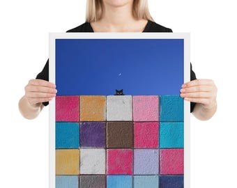 Curious (matte/framed)