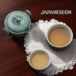 Japanese Ceramic Travel Tea Set Tea Service Set kungfu Tea Time Mini Cup Tea Set Gongfu Tea Set Teapot & Cup Set Travel Gaiwan Tea Set For 2