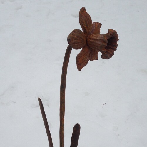 Metal Daffodil Garden Stake hand Made Hand Rusty Etsy