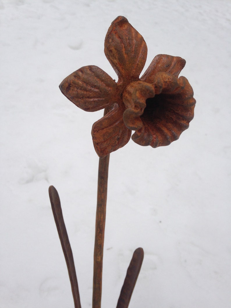Metal Daffodil Garden Stake hand Made Hand Rusty Etsy