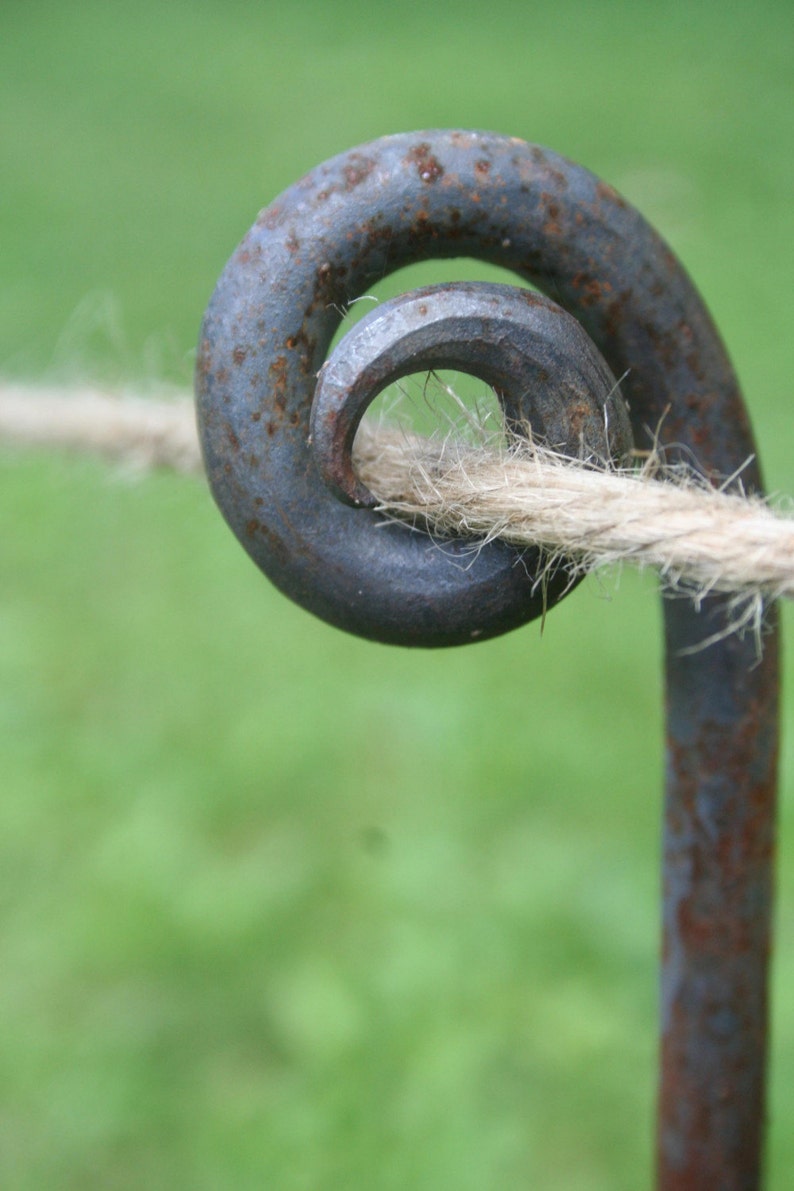 4 Foot Tall Fiddlehead Stake SOLID STEEL garden stake Etsy