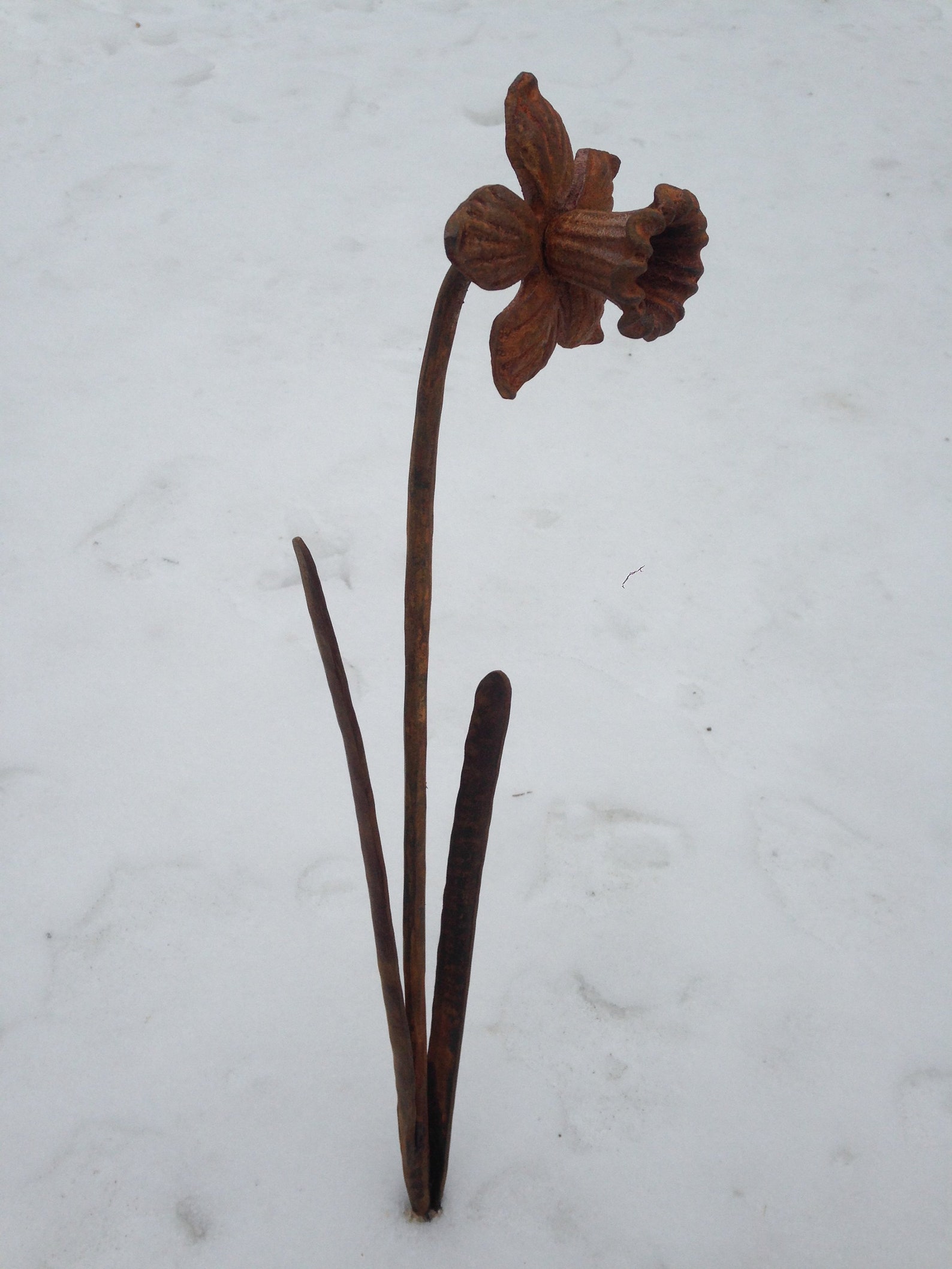 Metal Daffodil garden stake hand made hand rusty Etsy