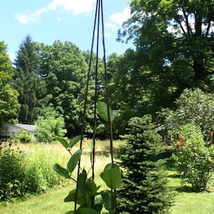 Garden Tripod 5'