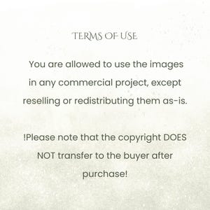 May include: Text on a cream-colored background reads "TERMS OF USE" followed by usage guidelines. The text states images can be used in commercial projects, excluding resale or redistribution. Copyright does not transfer after purchase.