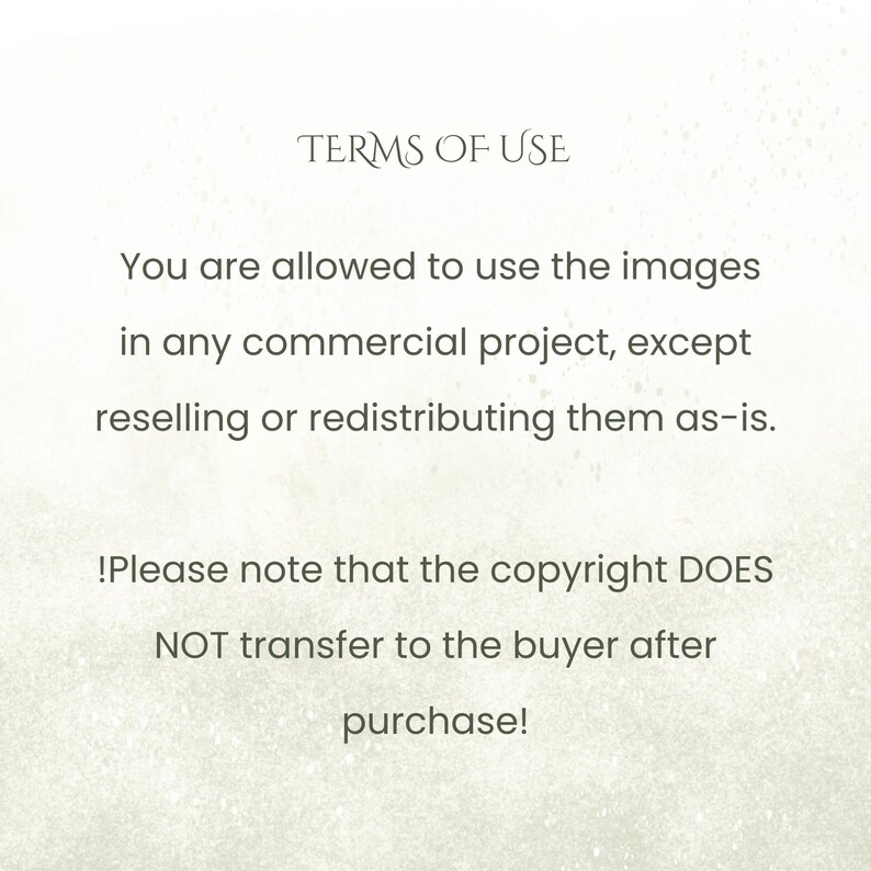 May include: Text on a cream-colored background reads "TERMS OF USE" followed by usage guidelines. The text states images can be used in commercial projects, excluding resale or redistribution. Copyright does not transfer after purchase.