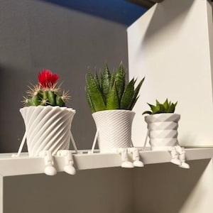 Peut inclure: Trois pots de plantes décoratifs blancs avec des jambes attachées, chacun contenant une plante différente. Le premier pot contient un cactus avec une fleur rouge. Le second contient une sansevière. Le troisième contient une petite succulente.