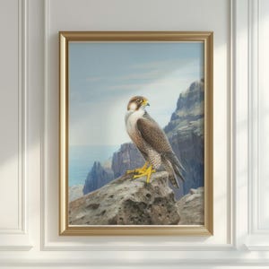 Stampa murale di falco pellegrino, stampa di uccello rapace, stampa artistica naturalistica, opera d'arte sulla fauna selvatica, poster di falco, decorazione per birdwatching, dipinto di rapace