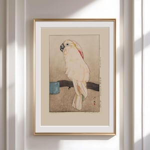 Stampa artistica di pappagallo vintage, poster di uccelli in stile giapponese, decorazione murale di cacatua esotico, illustrazione di uccelli antichi, arte ispirata alla natura