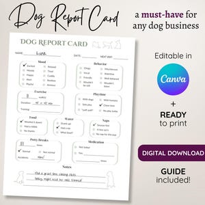 Informe canino, plantilla editable para negocio canino, informe imprimible en verde salvia para paseador, cuidador, peluquero, hospedaje, guardería y entrenador.