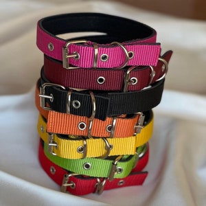 Colorful Adjustable Dog Collars