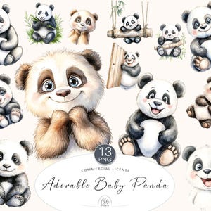 13 schattige panda cliparts | Schattige babypanda png voor kinderen decor, kinderkamerkunst, uitnodigingen babyshower, sublimatie, scrapbooking