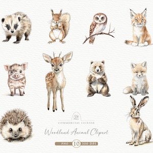 Ensemble de cliparts aquarelle animaux de la forêt – 10 PNG, renard mignon, cerf, hérisson, lapin, ours, chouette, blaireau, sanglier, écureuil, lynx