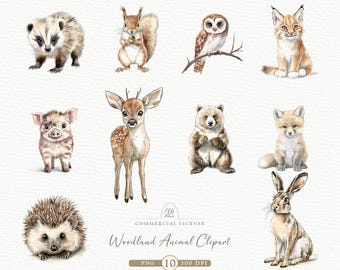 Watercolor Woodland Animals Clipart: Forest Creatures PNG (Digital Download)