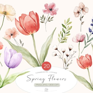 Aquarell Frühling Blumen Clipart | Floral PNG Tulpe Mohn Lavendel für Einladungen, Karten, Scrapbooking, Hochzeitsdesign