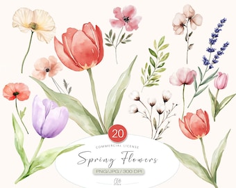 Watercolor Spring Flowers Clipart: Tulip, Poppy, Lavender (PNG, JPG)