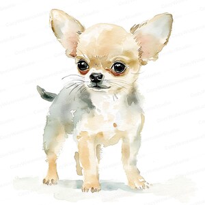 10 imágenes prediseñadas de chihuahua: perfectas para amantes de las mascotas, impresiones para guarderías, álbumes de recortes, invitaciones y proyectos de arte de bricolaje, archivos JPG imprimibles n.° 88