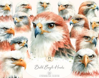 15 Eagle Clipart | Watercolor Bald Eagle Heads, Raptor PNG Set