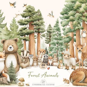 69 Forest Animals Clipart | Woodland Creatures, Baby Animals, Watercolor PNG