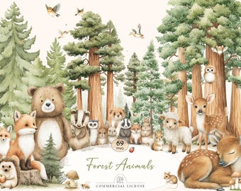 69 Forest Animals Clipart | Woodland Creatures, Baby Animals, Watercolor PNG