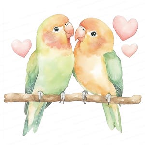 Clipart aquarelle de tourtereaux | Illustration romantique mignonne | Art numérique pour la Saint-Valentin 8 JPG