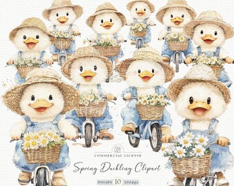 Watercolor Duckling Clipart: Spring Easter Farm Animals (Digital Download)