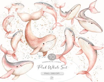 Watercolor Pink Whale Clipart: Pastel Ocean Animals (10 PNG Files)