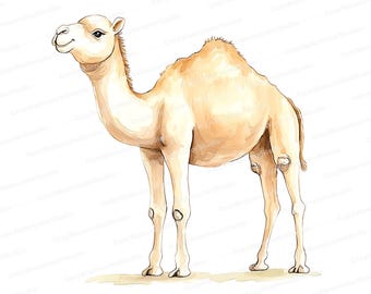 Camel Watercolor Art Prints: Animal Nursery Decor (JPG Files)