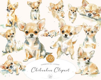 166 Chihuahua Clipart Bundle | PNG Cute Watercolor Chihuahua Dogs for Pet Crafts & Sublimation | Instant Download
