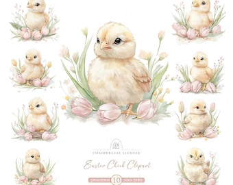 Watercolor Easter Chick Clipart: Spring Tulip PNG JPG (Digital Download)