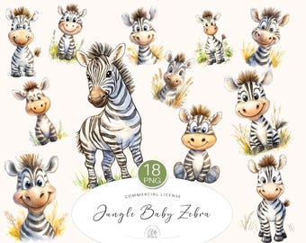 Watercolor Zebra Clipart: Safari Jungle Animals (PNG Digital Download)