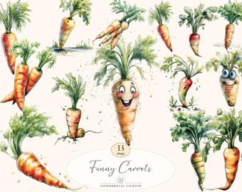 13 Carrot Clipart | Watercolor Vegetables PNG, Funny Carrots Illustration