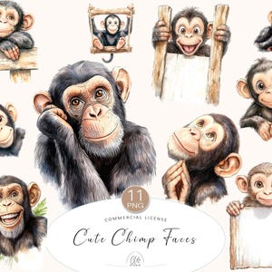 11 cliparts PNG Singe | Mignons visages de bébé chimpanzé pour fête dans la jungle, chambre de bébé Safari, scrapbooking, art mural, cartes et décoration pour bébé