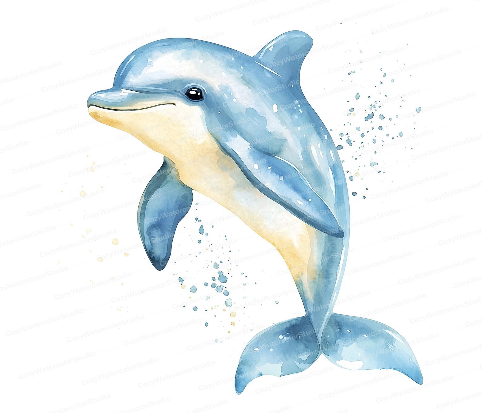 10 Blue Dolphin Watercolor Art Marine Life Illustration JPG Ocean