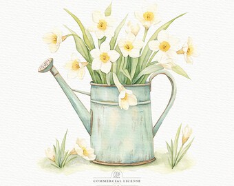 Watercolor Daffodils Clipart: Rustic Watering Can, Spring Flowers (PNG JPG)
