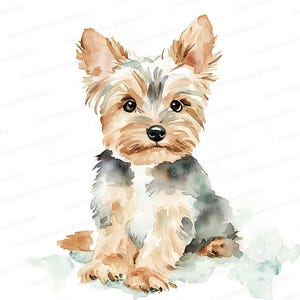 Yorkshire Terrier - Clipart de acuarela - Descarga digital - Ilustración de perro adorable para manualidades, arte mural, invitaciones y más, 8 JPG