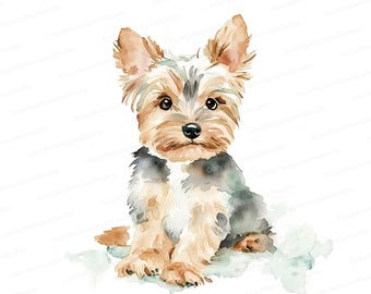 Dogs & Cats Cliparts