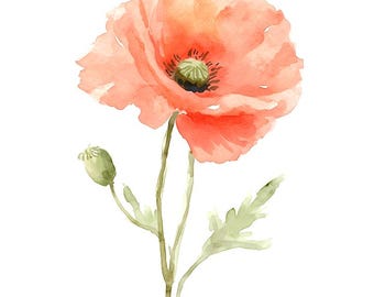 Watercolor Poppy Clipart: Floral Illustration, Nature Decor (Digital Download)