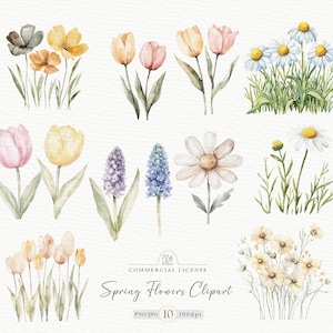 Aquarel lentebloemen clipart | 10 png- en jpg-bloemenillustraties | Wilde bloemen, tulpen, Cottagecore Art, direct downloaden