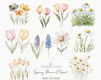 Watercolor Spring Flowers Clipart: Cottagecore Floral Illustrations (PNG & JPG)