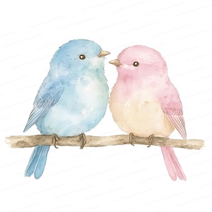 Clipart de pássaros do amor em aquarela romântica – pássaros azuis e rosa, arte digital para o dia dos namorados, decoração de casamento, download instantâneo 8 JPG