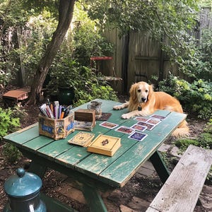 Afterlife Tarot, Loved Ones Messages, Spiritual Healing, Psychic Reading, Tarot Services, Mediumship, Online Tarot, Love Tarot, Career Tarot, Tarot Guidance, Healing Sessions, Psychic Medium, Spiritual Connection