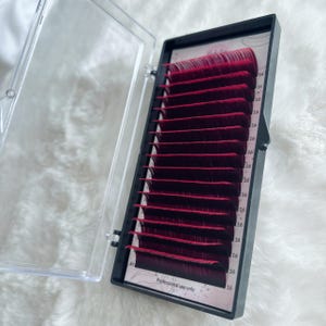 Könnte beinhalten: Ein schwarzer Plastikkoffer mit einem durchsichtigen Deckel, der ein Set roter künstlicher Wimpern enthält. Die Wimpern sind in Reihen angeordnet und mit der Nummer 16 beschriftet. Der Koffer trägt den Aufdruck "Nur für den professionellen Gebrauch".