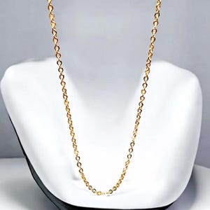 May include: A gold chain necklace with a delicate, round link design. The chain is displayed on a white mannequin bust.