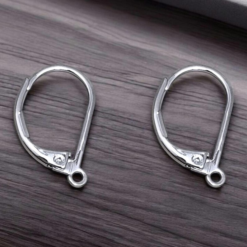 Shiny Rhodium Silver Lever Back Earwires: Brass Dangle Connectors (17mm ...