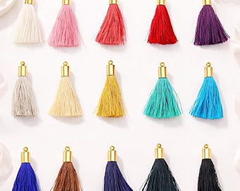 25mm Silk Tassel Charms Gold/Silver Cap Jewelry Supplies 2 Pieces DIY Earrings Necklace
