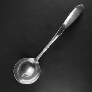 May include: A silver ladle with a rounded bowl and a long, slender handle. The handle has a decorative design.