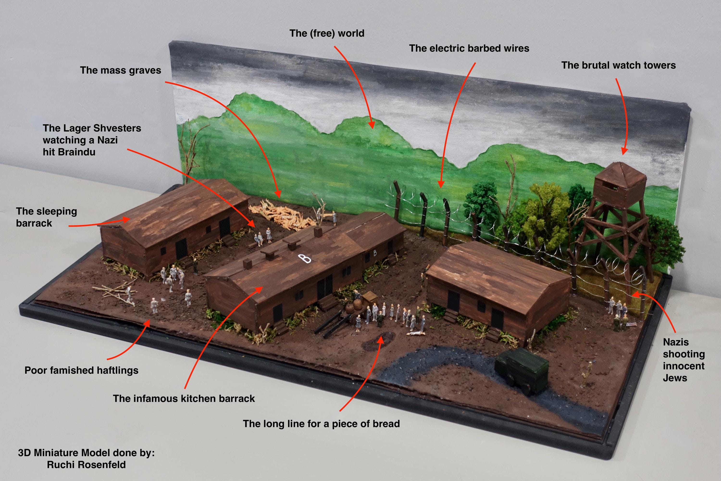 Holocaust Barracks Miniature Diorama | 24”x11”x8” | WWII Historical ...