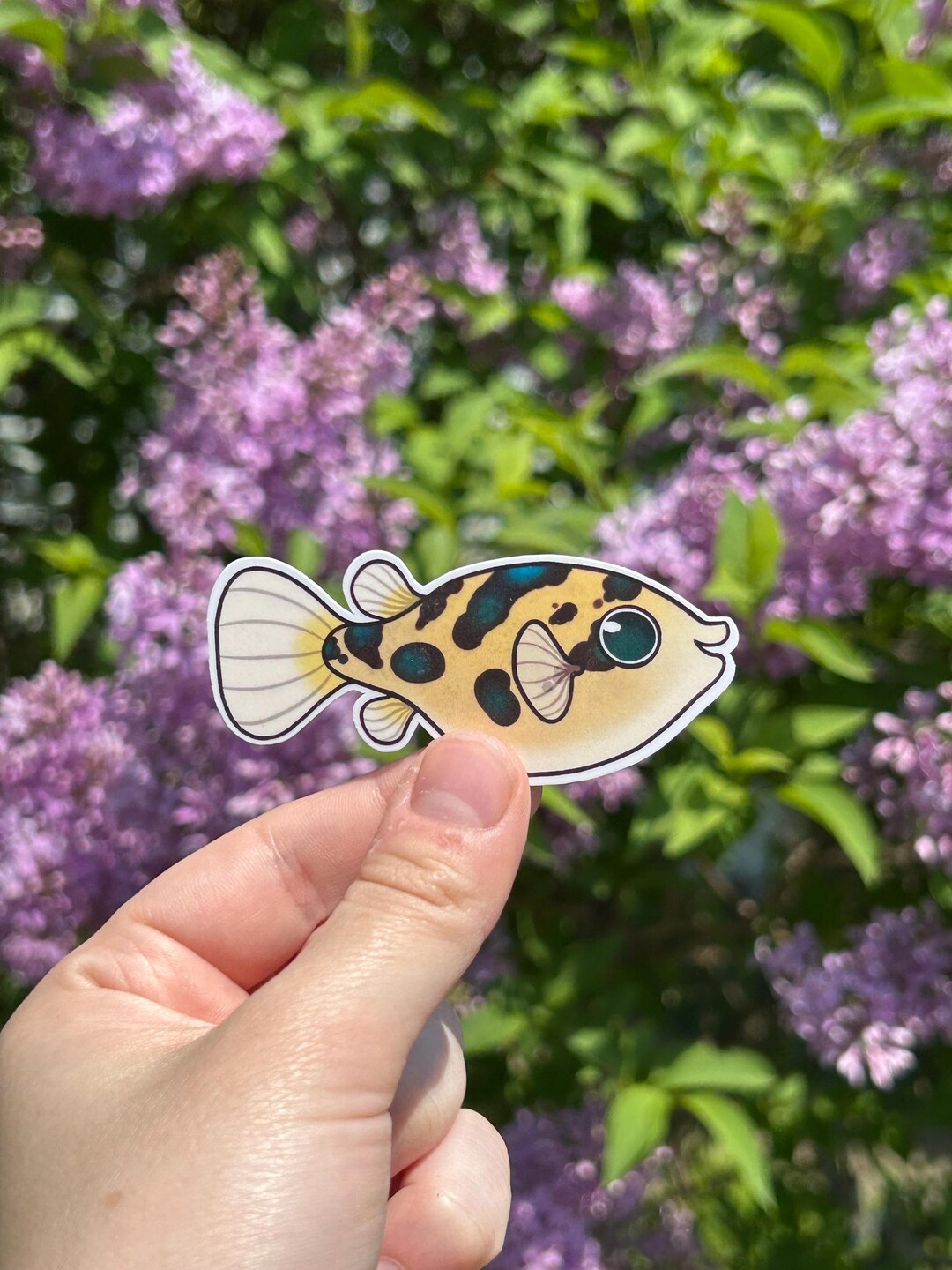 Pea Puffer Sticker | Freshwater Aquarium Fish Vinyl Sticker Art | - Etsy