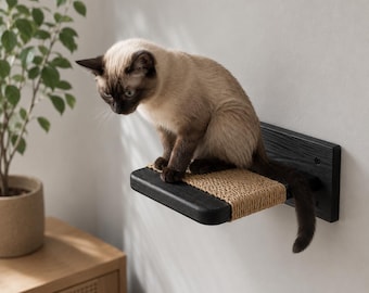 Escaleras de pared para gatos, juego de muebles de pared de madera para gatos, escaleras de pared para gatos, estantes de fresno macizo para gatos con agarre de sisal